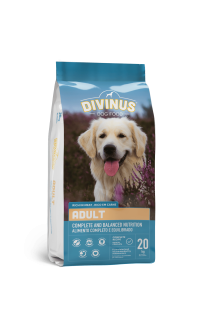 DIVINUS Dog Adult- Շան կեր չափահաս շների համար