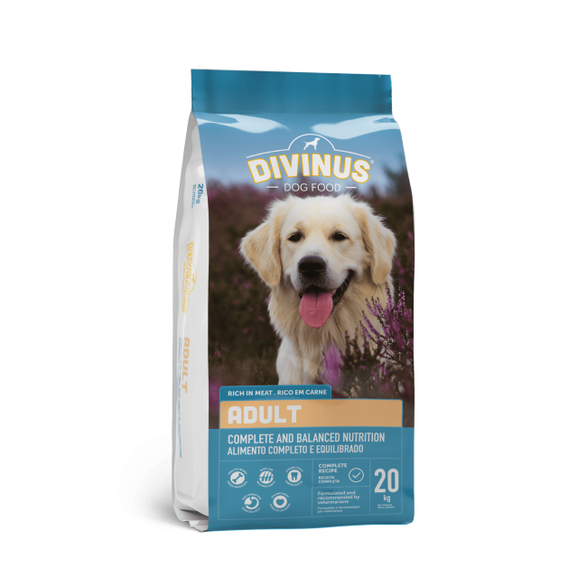DIVINUS Dog Adult- Շան կեր չափահաս շների համար