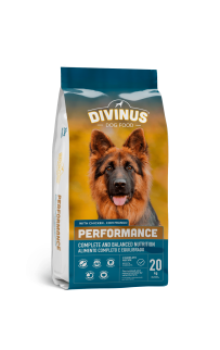 DIVINUS Performance Dog Adult- Շան կեր չափահաս շների համար
