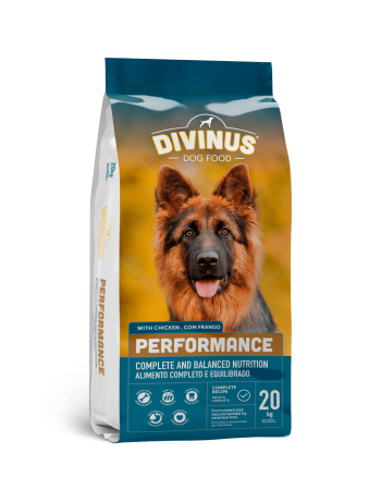DIVINUS Performance Dog Adult- Շան կեր չափահաս շների համար