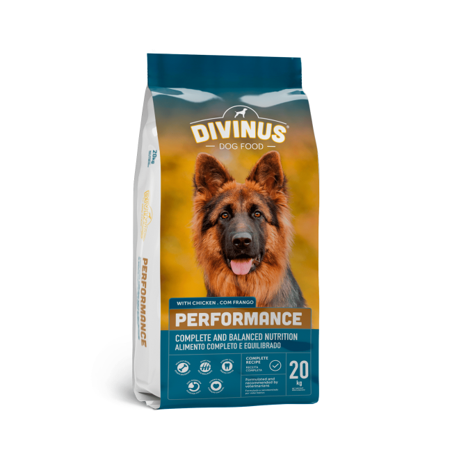 DIVINUS Performance Dog Adult- Շան կեր չափահաս շների համար