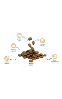 DIVINUS Performance Dog Adult- Շան կեր չափահաս շների համար