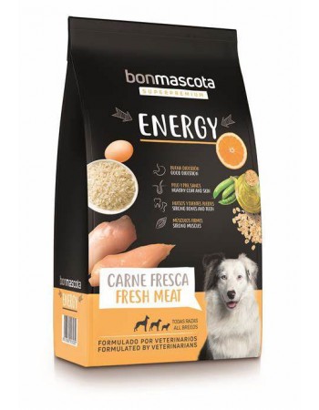 Bonmascota Energy  շան կեր