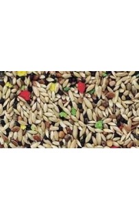 KIKI .Կեր դեղձանիկի համար KIKI Canary KIKI .Կեր դեղձանիկի համար KIKI Canary