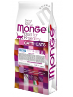 Monge GATTI CATS , Cat Kitten , կեր կատվի 