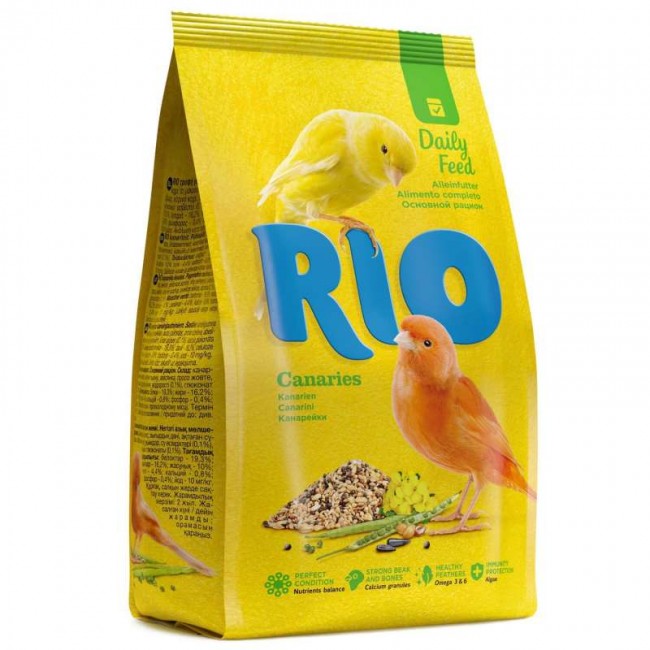 Rio Canaries  դեղձանիկի կեր