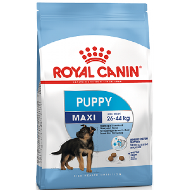Royal Canin MAXI PUPPY JUNIOR  կեր մեծ  չափի  ջահել և ձաք շան 1կգ