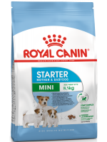 Royal Canin MINI STARTER շան կեր