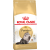 Royal Canin PERSIAN ADULT Կեր կատուների համար․ 