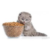 сухие корма для кошек (24)