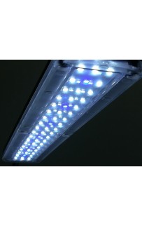 Ակվարիումի լեդ լուսատու RS-68L Ակվարիումի լեդ լուսատու RS-68L