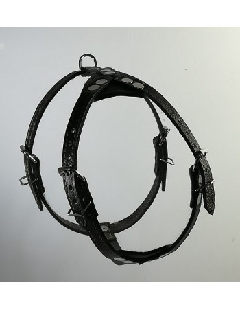 Կաշվե դոշկալ , փոքր չափի շների համար N4