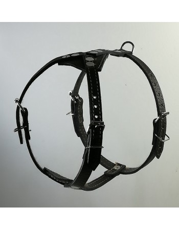 Կաշվե դոշկալ մեծ  շների համար N2: