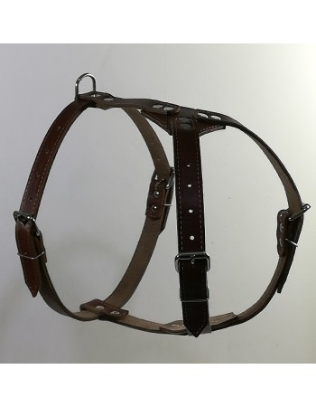 Կաշվե դոշկալ խոշոր շների N1